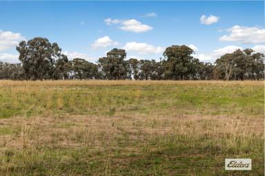 Farm Sold - VIC - Axedale - 3551 - A Mix of Quality Cropping Land and Lifestyle  (Image 2)