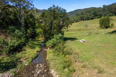 Farm For Sale - NSW - Upper Orara - 2450 - NEW PRICE / PARADISE FOUND - RARE 100 ACRES WITH THREE HOMES  (Image 2)