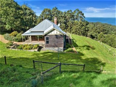 Farm Sold - VIC - Skenes Creek North - 3233 - WHAT DREAMS ARE MADE OF  (Image 2)