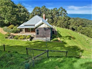 Farm Sold - VIC - Skenes Creek North - 3233 - WHAT DREAMS ARE MADE OF  (Image 2)