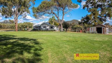 Farm Sold - NSW - Mudgee - 2850 - ONCE IN A LIFETIME OPPORTUNITY  (Image 2)