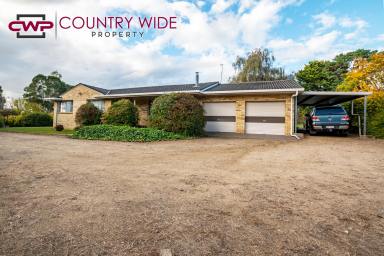 Farm Sold - NSW - Glen Innes - 2370 - Privacy and Convenience.  (Image 2)