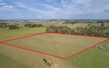 Farm For Sale - VIC - Cobden - 3266 - BUILD YOUR DREAM HOME CLOSE TO TOWN  (Image 2)