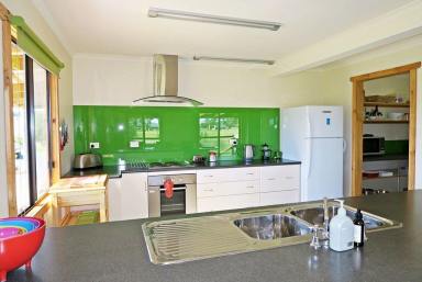 Farm Sold - TAS - Sheffield - 7306 - Panoramic Rural Setting - Under Contract  (Image 2)
