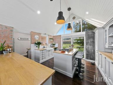 Farm Sold - NSW - Lovedale - 2325 - THE GABLES – HUNTER VALLEY  (Image 2)