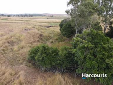 Farm Sold - QLD - Bucca - 4670 - Fully fenced Lifestyle Block  (Image 2)