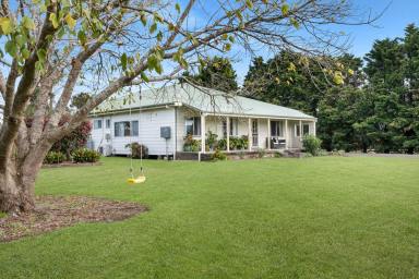 Farm Sold - NSW - Far Meadow - 2535 - Classic Cottage On 4.65ha Of Arable Land  (Image 2)