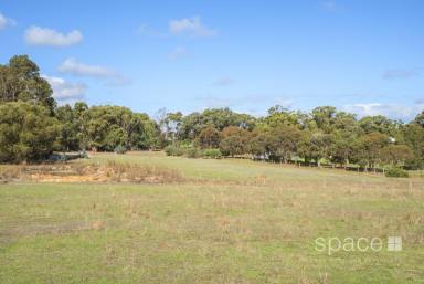 Farm Sold - WA - Margaret River - 6285 - TWO PROPOSED 1 HA LOTS  (Image 2)