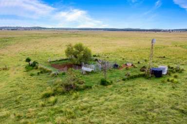 Farm Sold - QLD - Rosalie Plains - 4401 - 'Rosalie' - Oakey Cooyar Road, ROSALIE PLAINS  (Image 2)