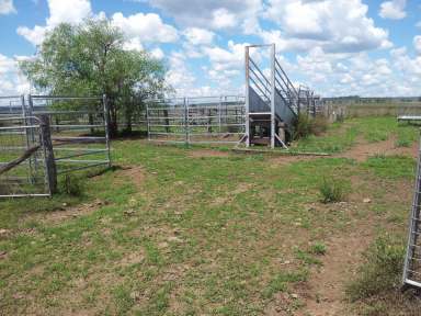 Farm Sold - QLD - Rosalie Plains - 4401 - 'Rosalie' - Oakey Cooyar Road, ROSALIE PLAINS  (Image 2)