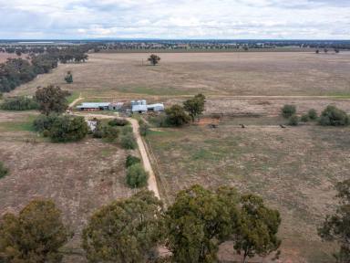 Farm Sold - NSW - Collendina - 2646 - "Allandale"
By way of Expressions of Interest, to be sold as a whole or in two (2) Lots.  (Image 2)