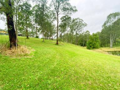 Farm Sold - NSW - Bundook - 2422 - Plenty of room for a house and a pony  (Image 2)