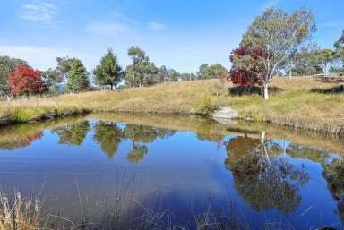 Farm Sold - NSW - Bendemeer - 2355 - Stunning Block, Lovely Outlook  (Image 2)