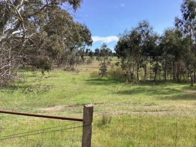 Farm For Sale - VIC - Evansford - 3371 - 16ha (approx. 40 acres); RLZ; Ideal Homesite: Scattered trees; Suitable for Subdivision STCA  (Image 2)