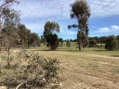 Farm For Sale - VIC - Evansford - 3371 - 16ha (approx. 40 acres); RLZ; Ideal Homesite: Scattered trees; Suitable for Subdivision STCA  (Image 2)