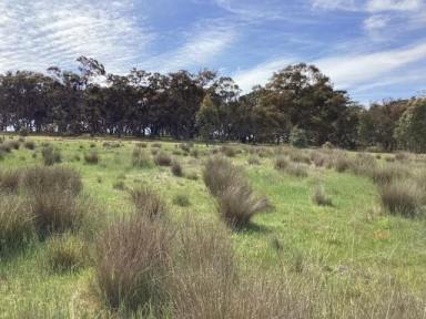 Farm For Sale - VIC - Evansford - 3371 - 8ha (approx. 20 acres); RLZ; Ideal Homesite; Scattered trees; Suitable for Subdivision STCA  (Image 2)
