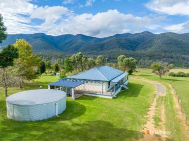 Farm Sold - NSW - Bemboka - 2550 - SIMPLY STUNNING  (Image 2)