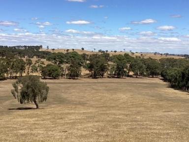 Farm For Sale - VIC - Waterloo - 3373 - 7.8 ha (approx. 19.5 acres): R.C. Zone: Elevated Homesite (STCA); Dam; Scattered Trees  (Image 2)