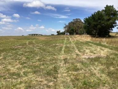 Farm Sold - VIC - Scarsdale - 3351 - 8 ha (approx. 20 acres) Homesite in the RLZ; Cleared; Fenced; Views  (Image 2)