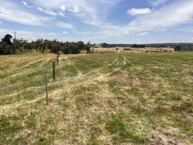 Farm Sold - VIC - Scarsdale - 3351 - 8 ha (approx. 20 acres) Homesite in the RLZ; Cleared; Fenced; Views  (Image 2)