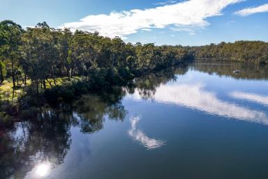 Farm Sold - NSW - Currowan - 2536 - Clyde River … 40 Acres Absolute Deep Water River Frontage  (Image 2)
