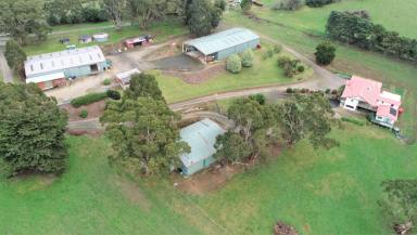 Farm Sold - VIC - Mirboo North - 3871 - "SOLD BY RAY"  (Image 2)