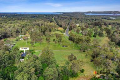 Farm Sold - NSW - Long Beach - 2536 - Live an easy rural lifestyle  (Image 2)