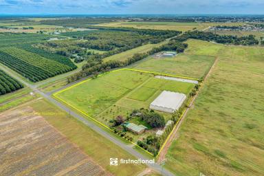 Farm Sold - QLD - Alloway - 4670 - OWNERS CIRCUMSTANCES HAVE CHANGED  (Image 2)
