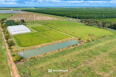 Farm Sold - QLD - Alloway - 4670 - OWNERS CIRCUMSTANCES HAVE CHANGED  (Image 2)