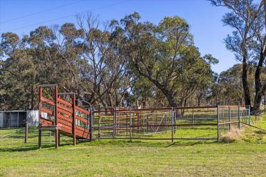 Farm Sold - NSW - Goulburn - 2580 - 621 Lumley Road, "Dinjerra" at Bungonia  (Image 2)