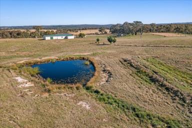 Farm Sold - NSW - Goulburn - 2580 - 621 Lumley Road, "Dinjerra" at Bungonia  (Image 2)
