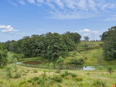 Farm Sold - NSW - Temagog - 2440 - Bushland Escape  (Image 2)