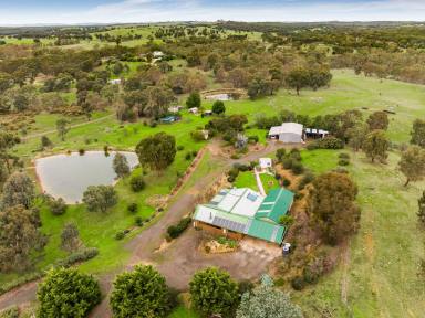 Farm Sold - VIC - Eppalock - 3551 - COUNTRY HIDEAWAY WITH BEAUTIFUL VIEWS  (Image 2)