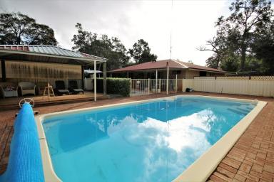 Farm Sold - WA - Leschenault - 6233 - Meticulously maintained, upgraded and move-in ready! Must be seen to be truly appreciated.  (Image 2)