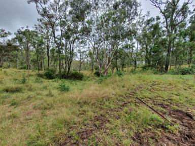 Farm Sold - QLD - Pimpimbudgee - 4615 - 410 ACRES , ACCESS TO BUNYA MT FORESTRY- BUSHY BLOCK  (Image 2)