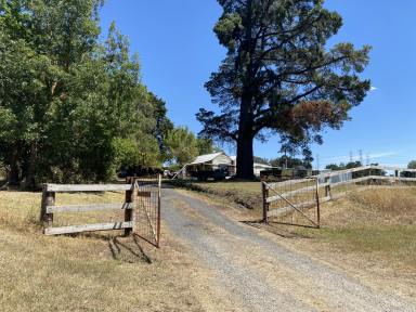 Farm For Sale - VIC - Bunyip - 3815 - A Big Slice of Country Life....  (Image 2)