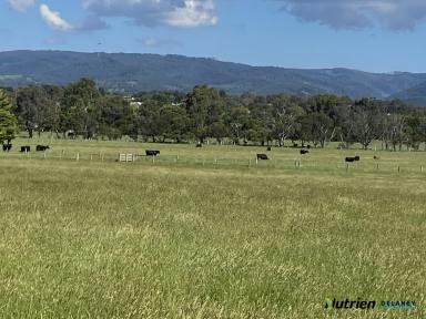 Farm Sold - VIC - Hazelwood North - 3840 - "GRASS GALORE" - 40 ACRES CLOSE TO TOWN  (Image 2)