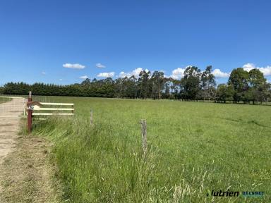 Farm Sold - VIC - Hazelwood North - 3840 - "GRASS GALORE" - 40 ACRES CLOSE TO TOWN  (Image 2)