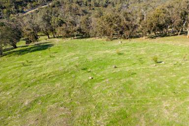 Farm Sold - WA - North Dandalup - 6207 - Privacy, River Frontage & Views.  (Image 2)