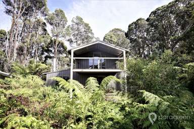 Farm Sold - VIC - Turtons Creek - 3960 - ULTIMATE NATURE LOVERS GETAWAY  (Image 2)