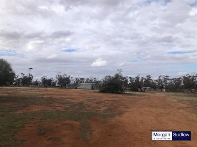 Farm Sold - WA - South Trayning - 6488 - GREAT EXPANSION OR INVESTOR OPPORTUNITY - 'MINNIBERRI' - PROPERTY IN TRAYNING SOUTH AREA  (Image 2)