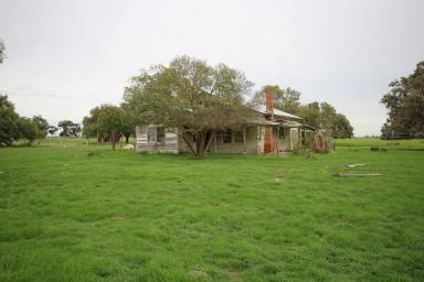 Farm Sold - VIC - Bamawm - 3561 - LOT 2 Whinfield Rd 384 acres or 155.4 ha  (Image 2)