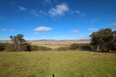 Farm Sold - NSW - Bolaro - 2629 - Lifestyle with a Luxury Lookout  (Image 2)