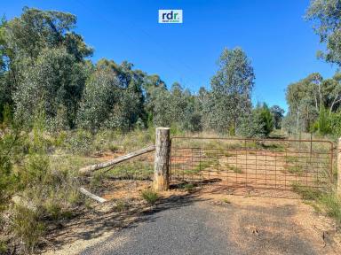 Farm Sold - NSW - Inverell - 2360 - A LITTLE BIT COUNTRY  (Image 2)