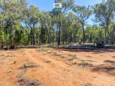 Farm Sold - NSW - Inverell - 2360 - A LITTLE BIT COUNTRY  (Image 2)
