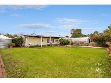 Farm Sold - SA - Cambrai - 5353 - The Perfect Country Township Property  (Image 2)