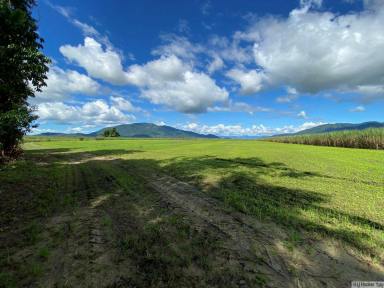 Farm For Sale - QLD - East Feluga - 4854 - APPROX. 71 ACRES CURRENTLY UNDER CANE  (Image 2)
