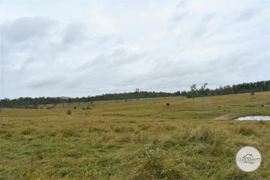Farm Sold - QLD - Dunmora - 4650 - Who is Looking for Acreage?  (Image 2)