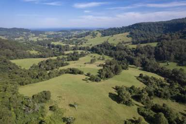 Farm Sold - NSW - Foxground - 2534 - 'Foxhill Stud' - Ideal Off-Grid Weekender  (Image 2)