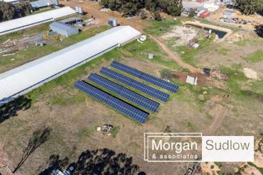 Farm Sold - WA - Darling Downs - 6122 - Versatile Mixed-Use Rural Land & Light Commercial Potential  (Image 2)